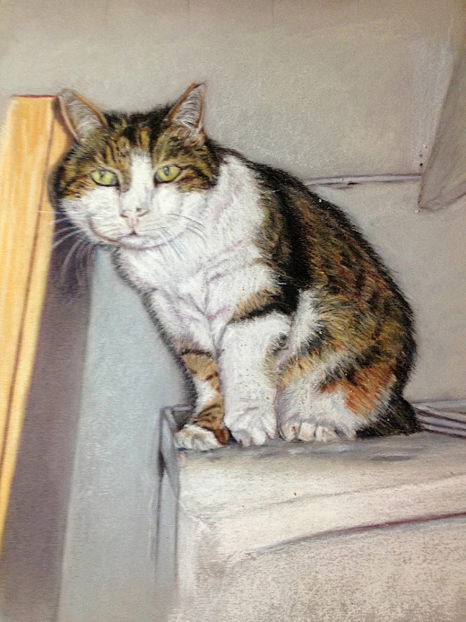 Cat painting, pastel