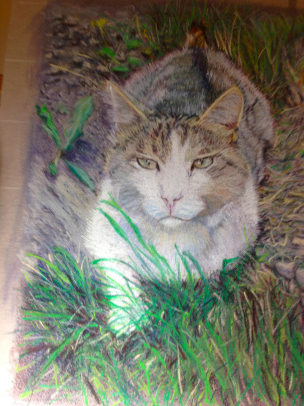 Cat painting, pastel