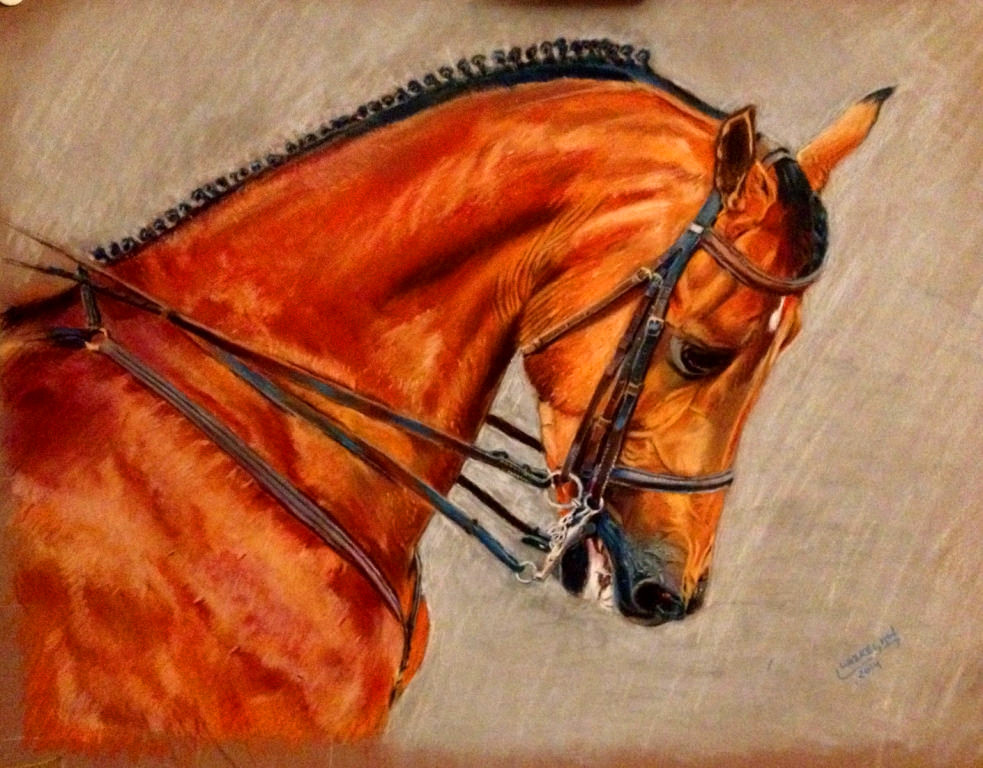 arabian stallion, painting, pastel