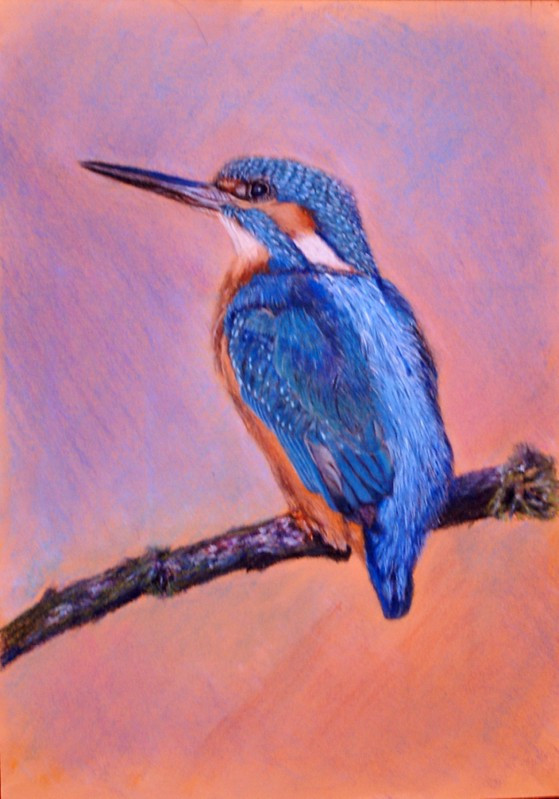 birds painting, pastel