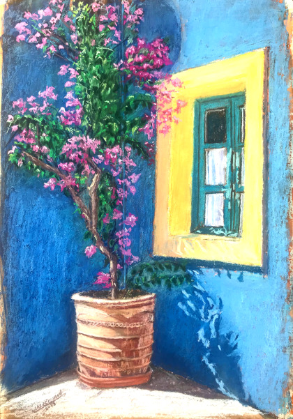 Potted flower, bougainvilla, blu wall, gardening
